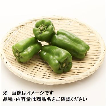 おうちでイオン イオンネットスーパー 高知県などの国内産