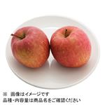青森県などの国内産 りんご（サンふじ）1袋 【3月20日－23日のお受取り】