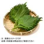 広島県などの国内産 大葉 20枚入 1パック
