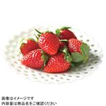 埼玉県などの国内産 いちご（あまりん）1パック 【3月20日－23日のお受取り】