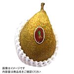 【予約商品】青森県産 洋梨（ゼネラルレクラーク）1個 【11月7日～11月9日のお届け】