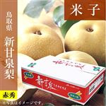 【予約商品番号 3ー79ー43ー2】鳥取県産（JA鳥取西部）米子の新甘泉梨 赤秀5kg5L10玉 【お届け期間8／20～9／25】