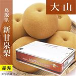 【予約商品番号 3ー79ー30ー8】鳥取県産（JA鳥取西部）大山の新甘泉梨赤秀5kg3L14玉 【お届け期間8／20～9／20】