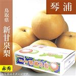 【予約商品番号 3ー79ー70ー6】鳥取県産（JA鳥取中央）琴浦の新甘泉梨赤秀5kg4L12玉 【お届け期間8／20～9／15】