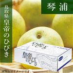 【予約商品番号 3ー79ー62ー7】鳥取県産（JA鳥取中央）琴浦「皇帝の響」（こうていのひびき）2kg3L6玉 【お届け期間8／31～9／25】