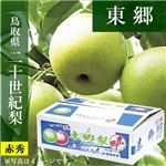 【予約商品番号 3ー78ー99ー2】鳥取県産（JA鳥取中央）東郷の二十世紀梨赤秀1.8kg2L6玉 【お届け期間8／26～9／25】