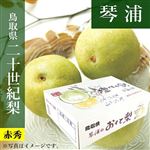 【予約商品番号 3ー79ー63ー6】鳥取県産（JA鳥取中央）琴浦の二十世紀梨 赤秀2kg3L6玉 【お届け期間8／26～9／25】