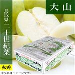 【予約商品番号 3ー79ー23ー8】鳥取県産（JA鳥取西部）大山の二十世紀梨赤秀5kg3L14玉または4L12玉 【お届け期間8／26～9／25】
