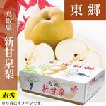 【予約商品番号 3ー79ー13ー1】鳥取県産（JA鳥取中央）東郷の新甘泉梨 赤秀3kg5L6玉 【お届け期間8／21～9／15】