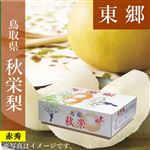 【予約商品番号 3ー79ー10ー4】鳥取県産（JA鳥取中央）東郷の秋栄梨 赤秀3kg4L8玉 【お届け期間8／21～9／10】