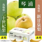 【予約商品番号 3ー79ー74ー2】鳥取県産（JA鳥取中央）琴浦の二十世紀梨+新甘泉梨赤秀1.8kg3L6玉（二十世紀梨3玉・新甘泉梨3玉） 【お届け期間8 26～9 25】