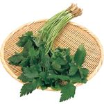 大分県 などの国内産 水耕みつば 1袋 【12月1日～12月2日のお受取り】