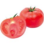 熊本県 などの国内産 トマト 1個