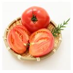 熊本県 などの国内産 塩トマト 2個入 1パック