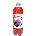 【予約商品】小原 北海道ハスカップサイダー 500ml 【9月26日～9月28日のお受取り】
