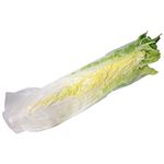 長野県 などの国内産 はくさい 1／6カット 1袋