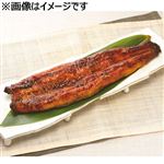 原料原産地：国産 うなぎ蒲焼 1尾 【6月13日～6月15日のお受取り】