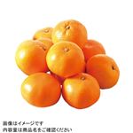和歌山県などの国内産 こつぶみかん 2S－Sサイズ 1袋 【3月20日－23日のお受取り】