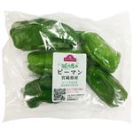 トップバリュ 減の恵み 宮崎県などの国内産 ピーマン 1袋 【7月4日～7月6日のお受取り】