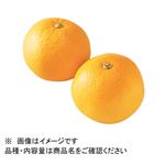 広島県などの国内産 紅はっさく 1袋