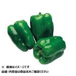 高知県などの国内産 はぐみ農園ピーマン 1袋