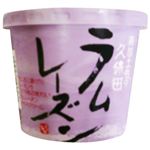 ★久保田食品 ラムレーズンアイス 110ml