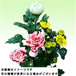 仏花 3本束【置き楽配送指定不可】