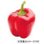 韓国などの国外産 パプリカ（赤）1個