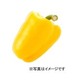 韓国などの国外産 パプリカ（黄）1個