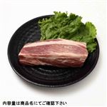 新潟県産 豚肉かたロースかたまり 500g（100gあたり（本体）248円）1パック 【7月30日～8月3日の受取り】