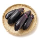 高知県などの国内産 なす 5本入 1袋
