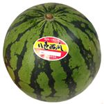 新潟県などの国内産 八色すいか 2Lサイズ 1個