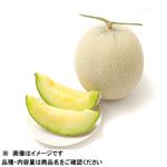 高知県などの国内産 アールスメロン（青肉）Lサイズ 1個