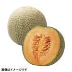 茨城県などの国内産 クインシーメロン（赤肉）3Lサイズ 1個