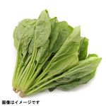 群馬県などの国内産 ほうれん草 1袋