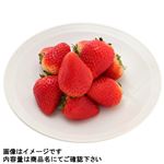 新潟県などの国内産 いちご（越後姫）Mサイズ 230g 1パック