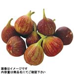 新潟県などの国内産 いちじく（越の雫）290g 1パック