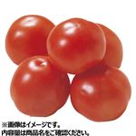 栃木県などの国内産 トマト 簡易箱（小箱）800g 1箱