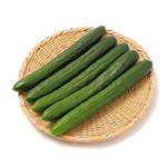福島県などの国内産 きゅうり（大袋）5本入 1袋