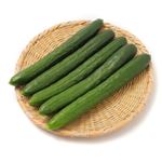 新潟県などの国内産 曲がりきゅうり（大袋）900g 1袋