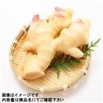 高知県産 新しょうが 150g（100gあたり（本体）198円）1パック