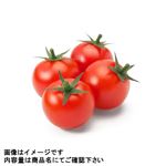 茨城県などの国内産 ミニトマト（少量パック）80g 1パック