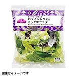 トップバリュ ロメインレタスのミックスサラダ 1パック