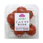 トップバリュ 減の恵み 熊本県八代産 ミニトマト 140g入 1パック