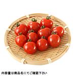 トップバリュグリーンアイ 沖縄県などの国内産 ミニトマト（有機）（小パック）100g 1袋