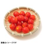 千葉県などの国内産 フルーツミニトマト 120g 1パック