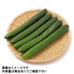 新潟県などの国内産 きゅうり（大袋）6本入 1袋