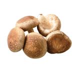 福島県などの国内産 菌床生しいたけ 100g 1パック