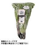 新潟県などの国内産 季節のサラダセット 85g 1袋
