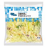 5種野菜とキャベツの千切り 1パック